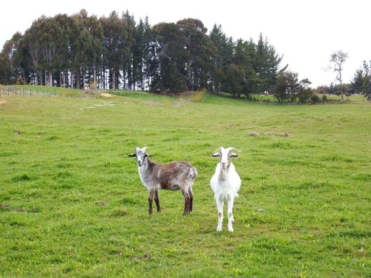 Mahana Farm Cottage Esterno foto